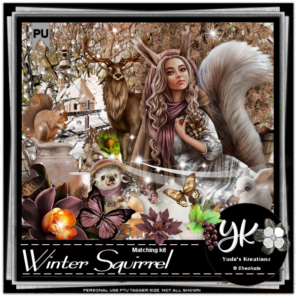 Winter Squirrel - Click Image to Close